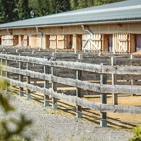 Ranchhouse Bubble - Westernstable - Horse