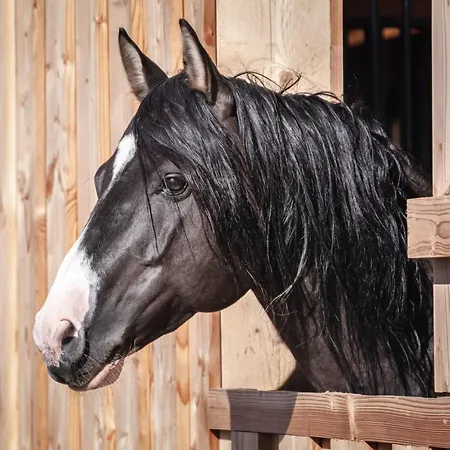 Ranchhouse Bubble - Westernstable - Horse Holiday home *