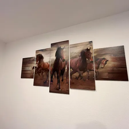 Ranchhouse Bubble - Westernstable - Horse