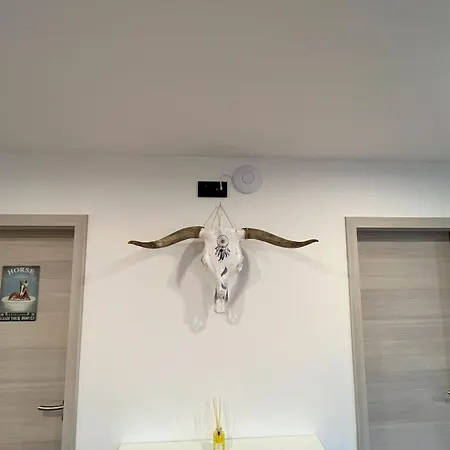 Ranchhouse Bubble - Westernstable - Horse 別荘 *